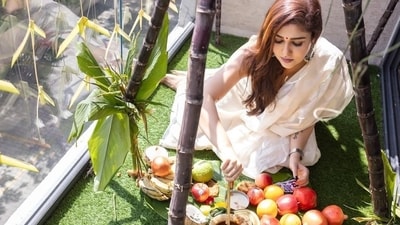 Nayanthara stunned in a white sari for Pongal. The actor shared a series of pictures on her Instagram account where she gave fans a glimpse on how she is celebrating at home. Nayanthara stunned in a white sari for Pongal. The actor shared a series of pictures on her Instagram account where she gave fans a glimpse on how she is celebrating at home.