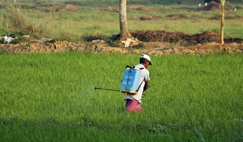 Pesticides can cause blood cancer. (Unsplash) Pesticides can cause blood cancer. (Unsplash)