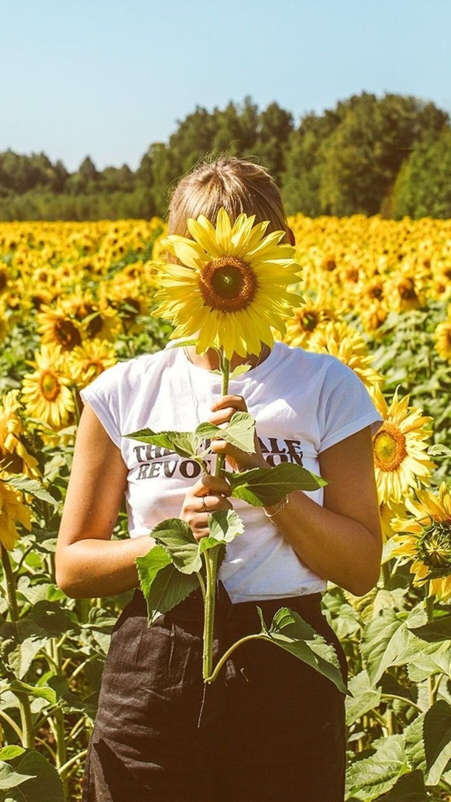 vitdsunshine83