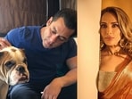 Salman Khan's pet dog Toro dies, Iulia Vantur pens heartfelt tribute. Salman Khan's pet dog Toro dies, Iulia Vantur pens heartfelt tribute.