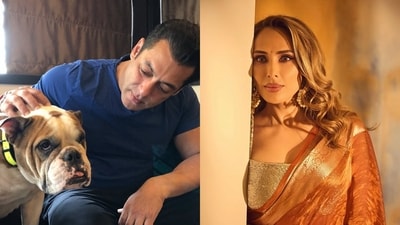 Salman Khan's pet dog Toro dies, Iulia Vantur pens heartfelt tribute. Salman Khan's pet dog Toro dies, Iulia Vantur pens heartfelt tribute.