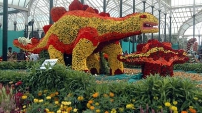 The show is expected to attract 8–10 lakh visitors. The show is expected to attract 8–10 lakh visitors.