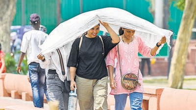 The trend comes against the backdrop of the climate crisis manifesting ever more clearly globally, with 2024 marking India’s –– and the world’s –– warmest year (HT Photo) The trend comes against the backdrop of the climate crisis manifesting ever more clearly globally, with 2024 marking India’s –– and the world’s –– warmest year (HT Photo)