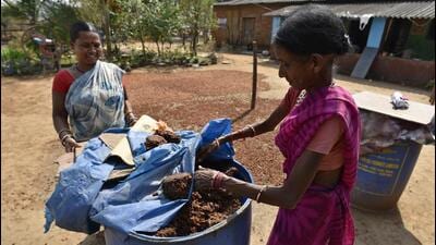 Tribal womens Mahua flowers used to a make local wine which is popular among tribal people in Chhattisgarh at districts of Dantewada District in Chhattisgarh, India, on Wednesday, April 11, 2018. Mahua flowers come in the months from march to May and are used to make wine and other products (Photo by Sanchit Khanna/ Hindustan Times) (HT Photo) Tribal womens Mahua flowers used to a make local wine which is popular among tribal people in Chhattisgarh at districts of Dantewada District in Chhattisgarh, India, on Wednesday, April 11, 2018. Mahua flowers come in the months from march to May and are used to make wine and other products (Photo by Sanchit Khanna/ Hindustan Times) (HT Photo)