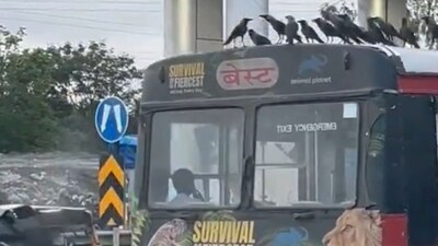 Drivers employed by Olectra, a wet lease operator for the Brihanmumbai Electric Supply and Transport (BEST) undertaking, launched a flash strike early Friday morning. Representative Image (X/@krownnist)