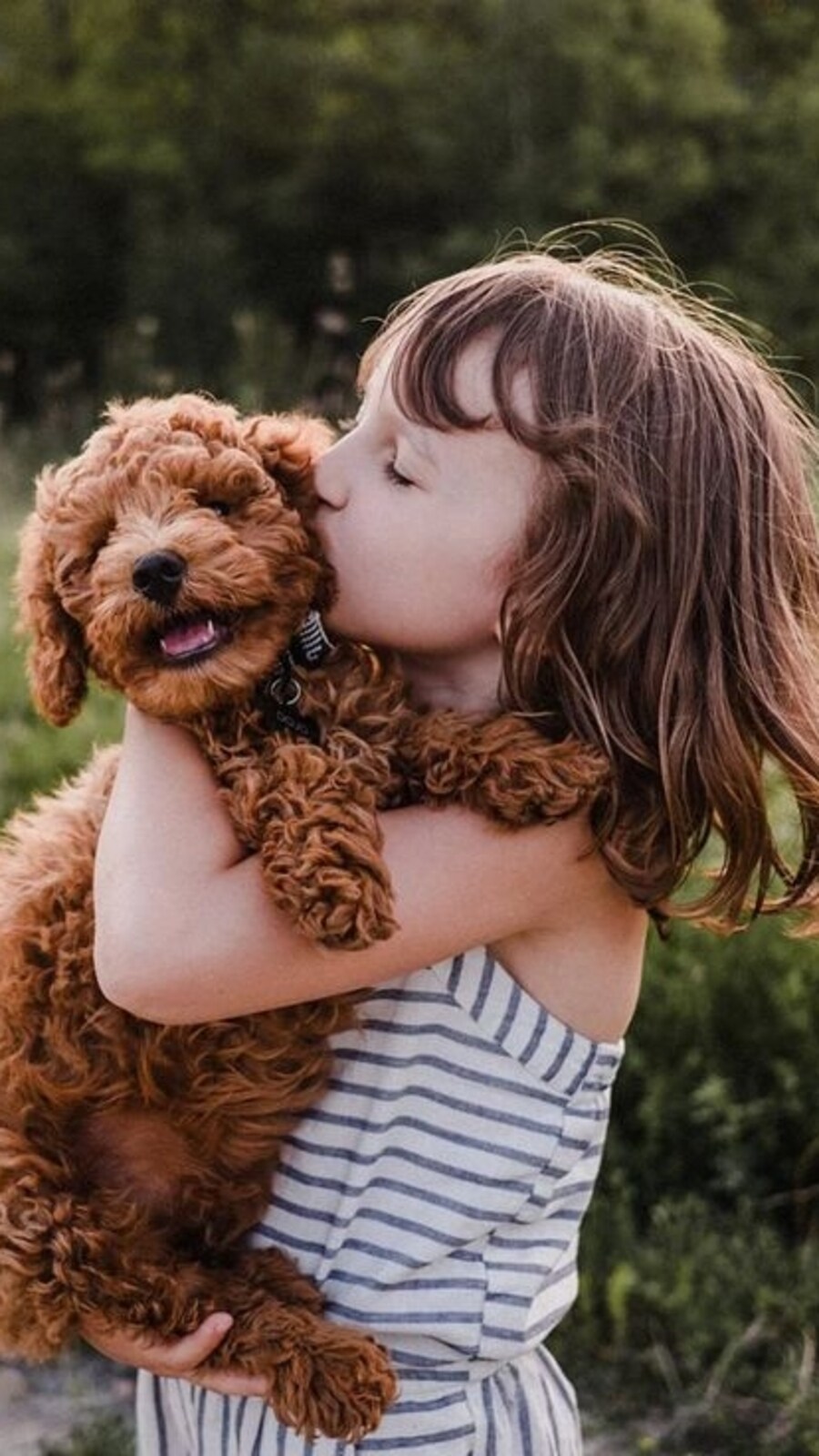 babyanddog8745