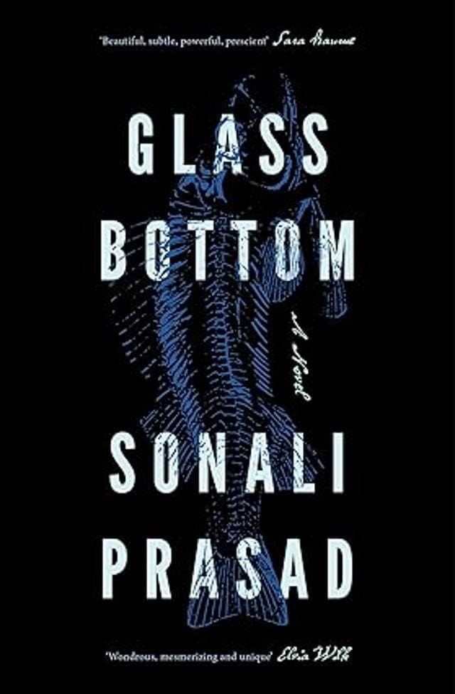 208pp, Rs499; Pan Macmillan 208pp, Rs499; Pan Macmillan