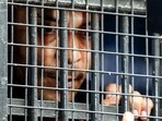 Sanjay Roy, the prime accused in the RG Kar rape-murder case was held guilty by a Kolkata court on Saturday Sanjay Roy, the prime accused in the RG Kar rape-murder case was held guilty by a Kolkata court on Saturday