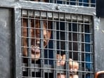 Sanjay Roy was declared guilty by the Sealdah court on Saturday in the case of the rape and murder of a trainee doctor in Kolkata's RG Kar hospital Sanjay Roy was declared guilty by the Sealdah court on Saturday in the case of the rape and murder of a trainee doctor in Kolkata's RG Kar hospital
