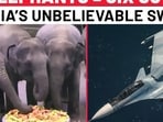 Jets for Jumbos? Russia’s Bizarre Su-30 & Elephant Exchange Shocks All | Myanmar | NATO | Ukraine Jets for Jumbos? Russia’s Bizarre Su-30 & Elephant Exchange Shocks All | Myanmar | NATO | Ukraine