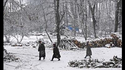 People walk amid snowfall in Anantnag. (AFP)