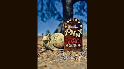 The grave of Jonny, a snail that lived for over a year in a man’s backyard in Los Angeles. (Paul Koudounaris) The grave of Jonny, a snail that lived for over a year in a man’s backyard in Los Angeles. (Paul Koudounaris)