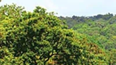 The state revenue and forest departments concluded the two-day survey of the forest land in Srinivaspur taluk that was allegedly encroached upon by former speaker KR Ramesh Kumar over two decades ago (File photo) The state revenue and forest departments concluded the two-day survey of the forest land in Srinivaspur taluk that was allegedly encroached upon by former speaker KR Ramesh Kumar over two decades ago (File photo)