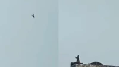 The monkey can be seen skilfully tugging the kite's string, much like a human would. (Instagram/) The monkey can be seen skilfully tugging the kite's string, much like a human would. (Instagram/)