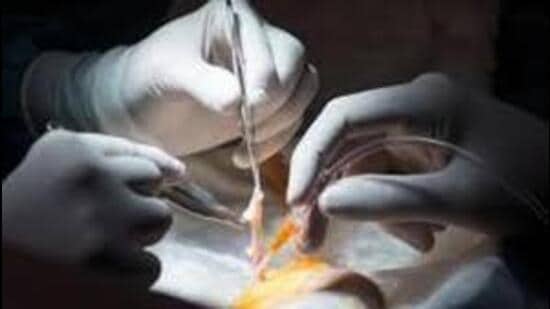 Currently, all organ transplants in Chandigarh are conducted exclusively at PGIMER, making it the city’s central hub for these life-saving procedures. (Getty image)
