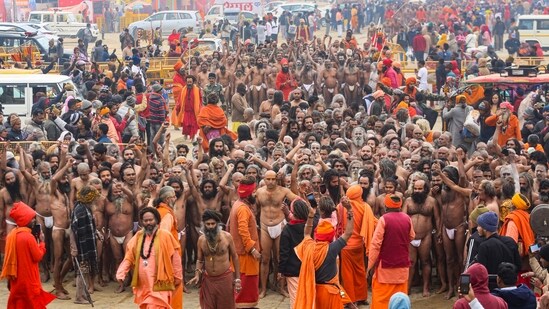 National Police Academy requested to send trainee IPS officers to Mahakumbh for field training in crowd management. (PTI)