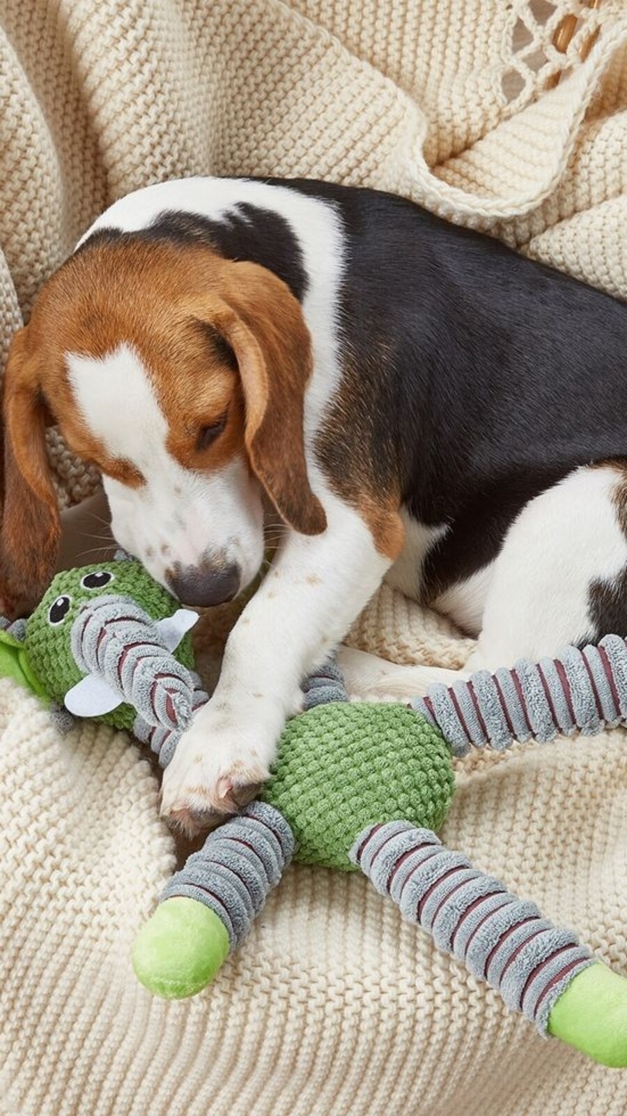 Elephant_Shaped_Dog_Sound_Toy