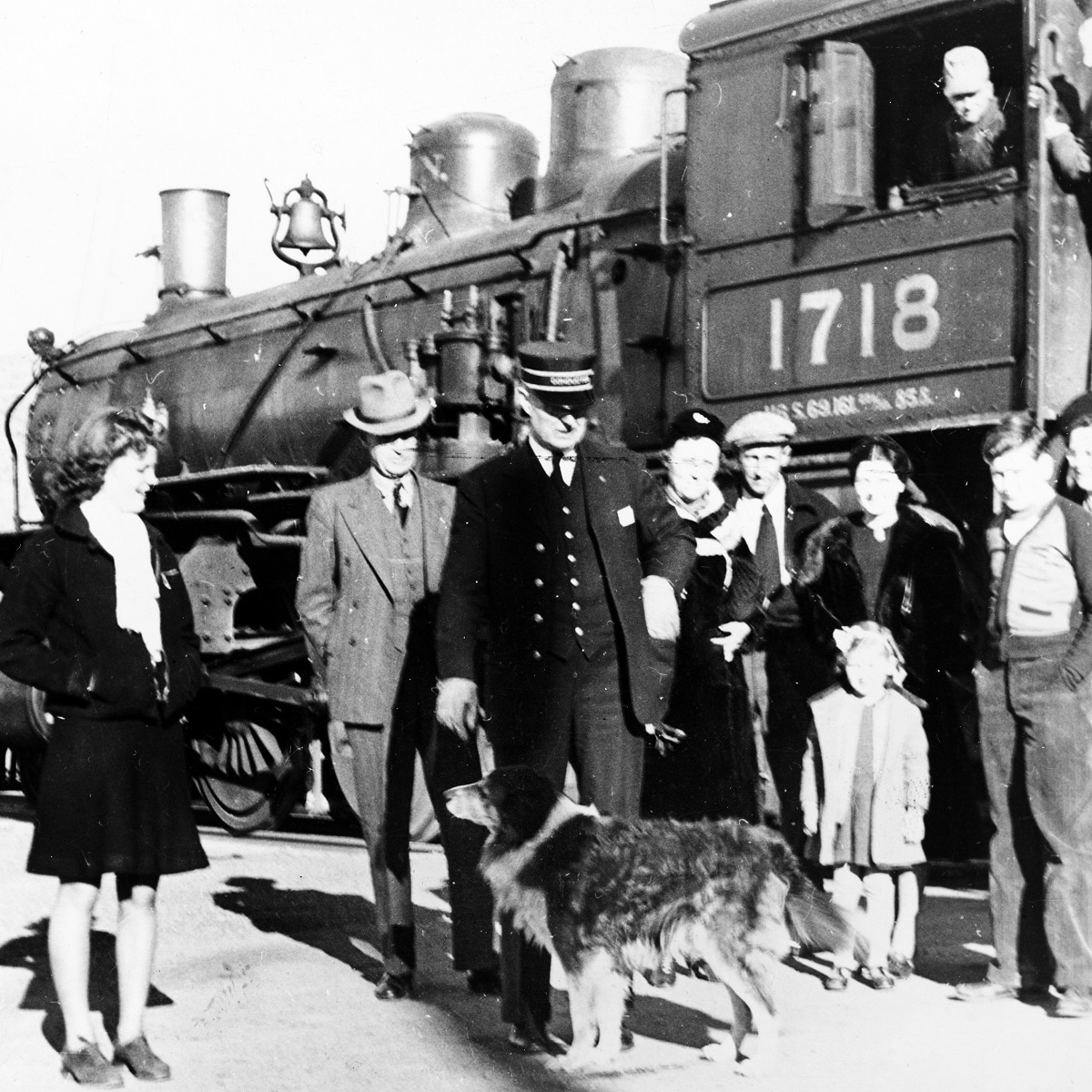 Archival photos show Shep greeting a train and walking away in dejection. He was never comfortable with his fame, his interaction with passengers due solely to his forlorn hope of finding his lost master. (Courtesy Faithful Unto Death) Archival photos show Shep greeting a train and walking away in dejection. He was never comfortable with his fame, his interaction with passengers due solely to his forlorn hope of finding his lost master. (Courtesy Faithful Unto Death)