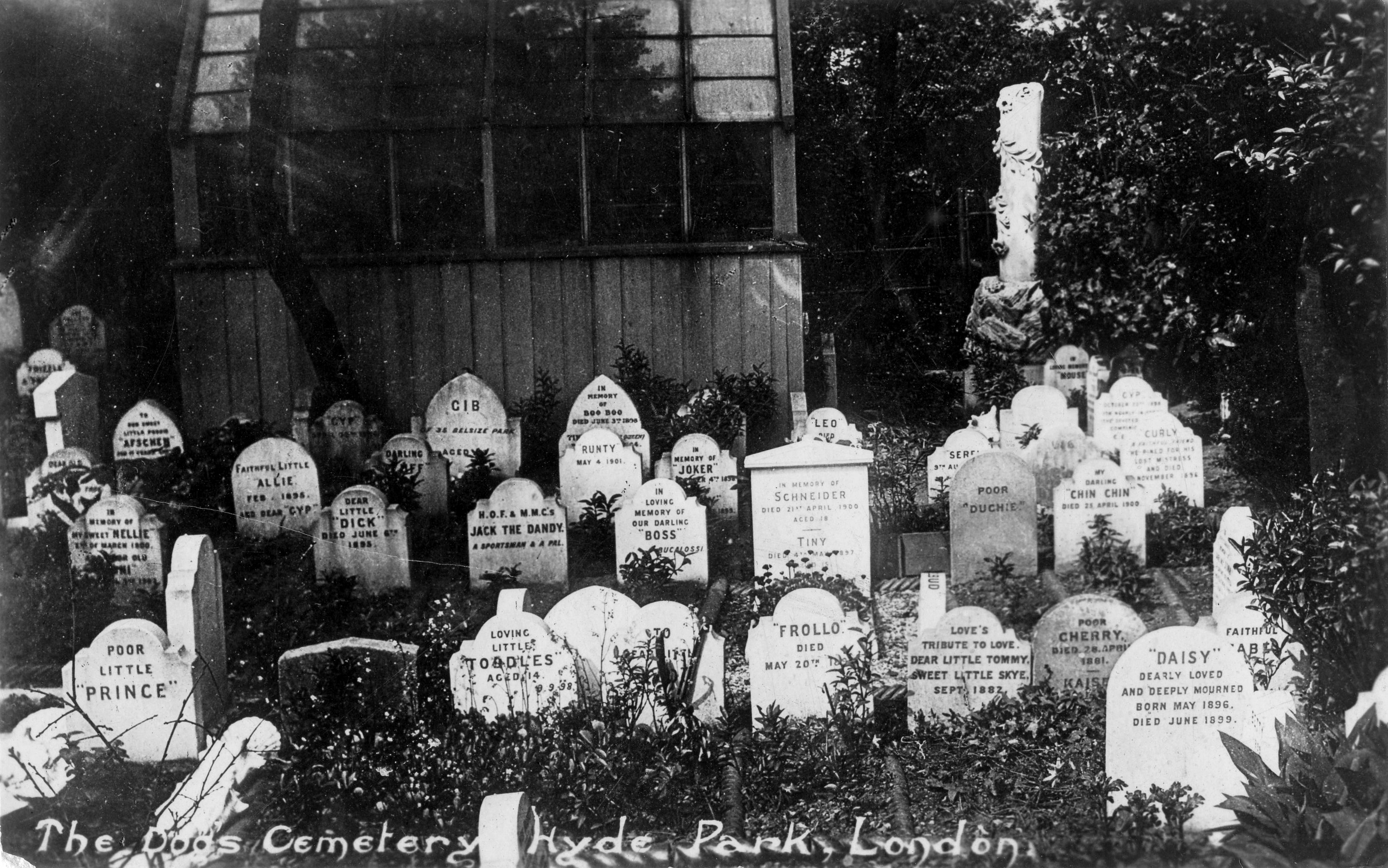 An archival image of the Hyde Park cemetery. (Courtesy Faithful Unto Death) An archival image of the Hyde Park cemetery. (Courtesy Faithful Unto Death)