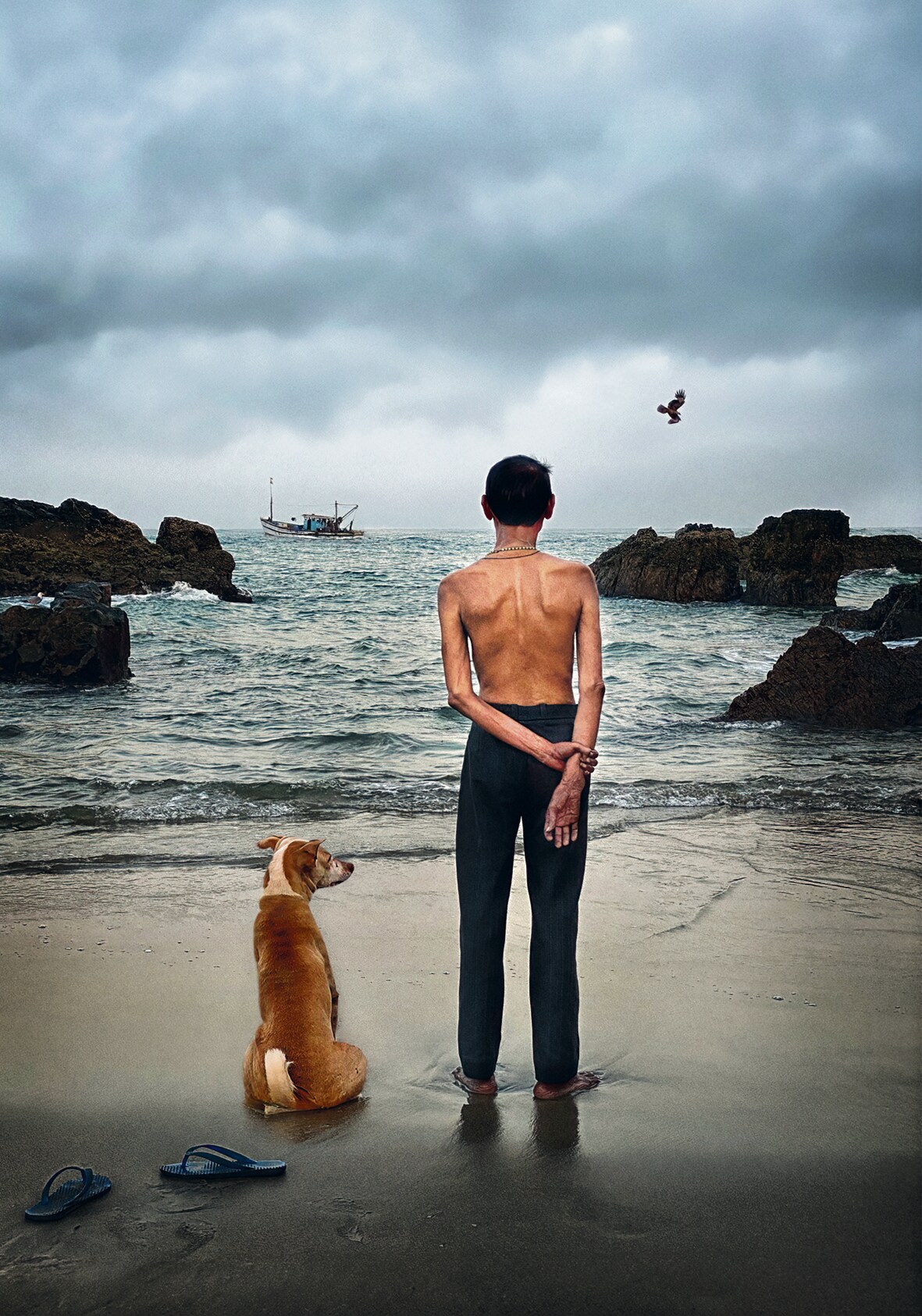 (Rohit Chawla / Rain Dogs) (Rohit Chawla / Rain Dogs)