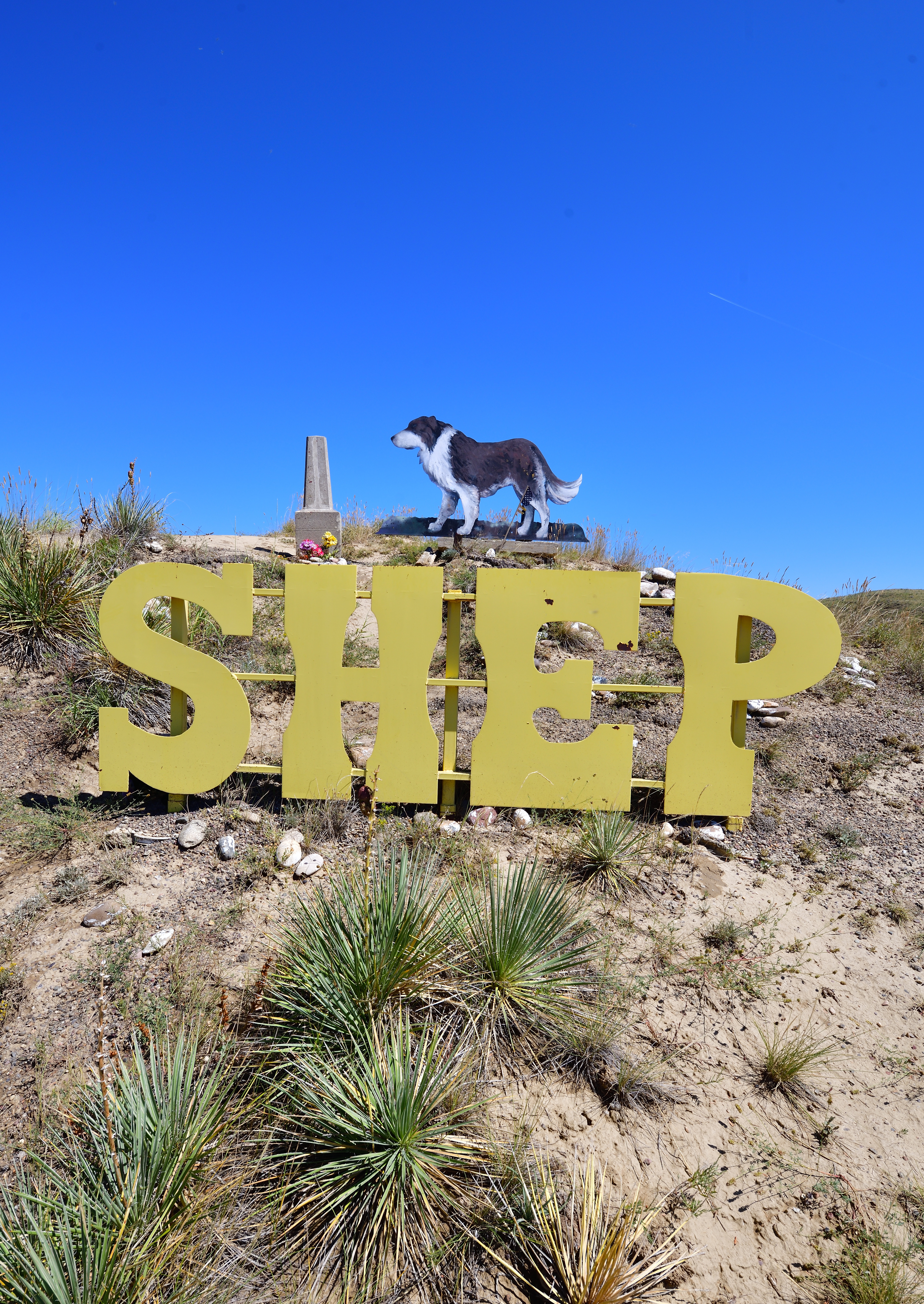 Shep on the bluff above his grave. (Courtesy Faithful Unto Death: Pet cemeteries) Shep on the bluff above his grave. (Courtesy Faithful Unto Death: Pet cemeteries)