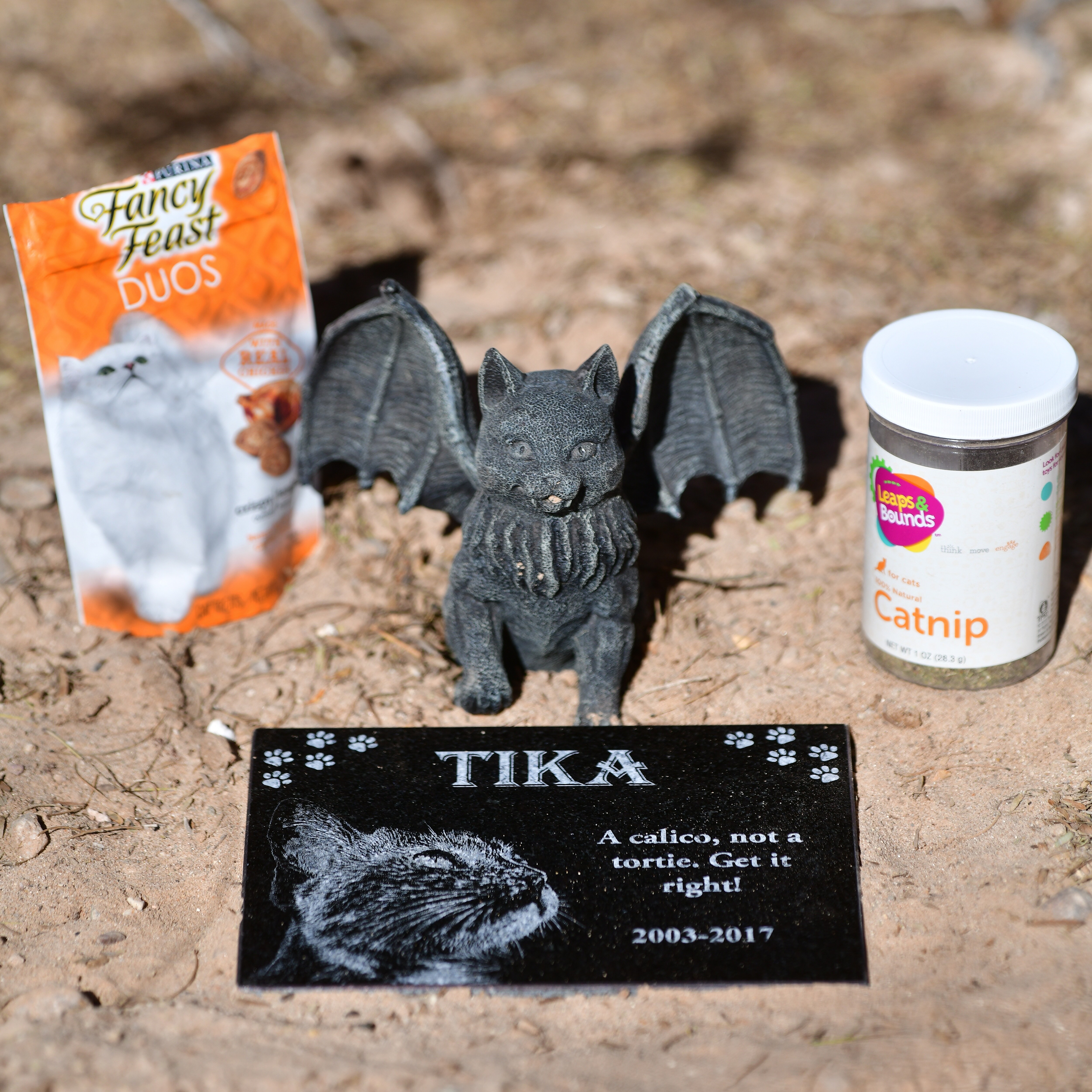 Tika‘s grave in a desert pet cemetery in California. (Paul Koudounaris) Tika‘s grave in a desert pet cemetery in California. (Paul Koudounaris)