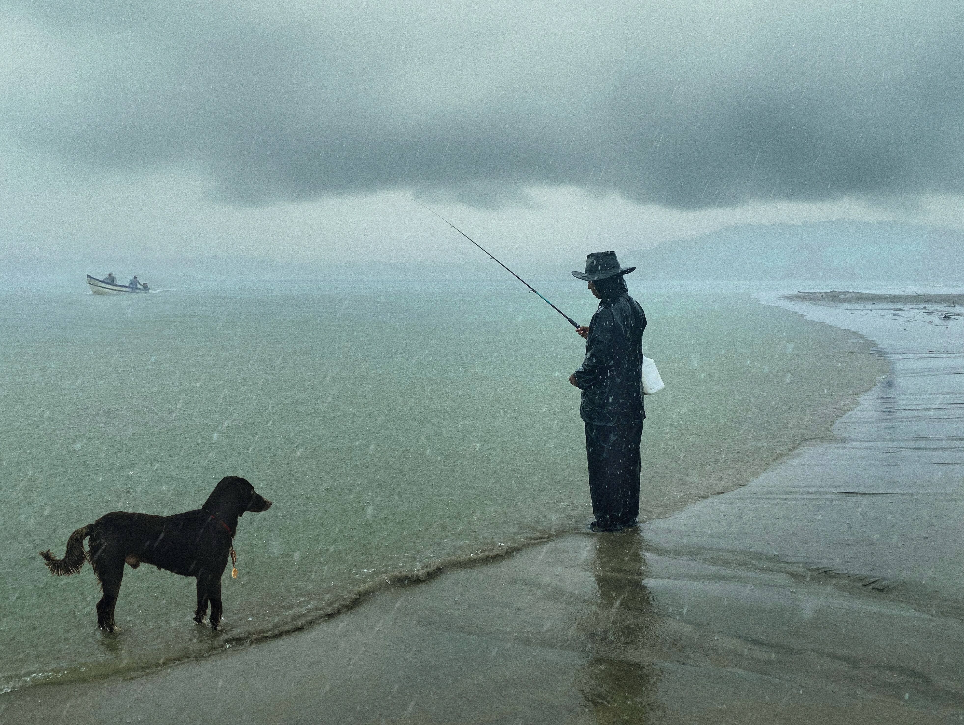 (Rohit Chawla / Rain Dogs) (Rohit Chawla / Rain Dogs)