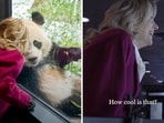 Jill Biden was joined by Hunter Biden's son Beau, who donned a quilted jean jacket with an US flag patch. In the clip, Beau can be heard marveling about the 'cute" pandas. Jill Biden was joined by Hunter Biden's son Beau, who donned a quilted jean jacket with an US flag patch. In the clip, Beau can be heard marveling about the 'cute" pandas.