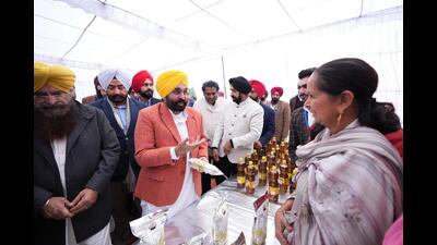 Punjab chief minister Bhagwant Singh on Sunday said Aam the Aadmi Party (AAP) will form the government in Delhi for the fourth consecutive term by winning more than 60 seats. Punjab chief minister Bhagwant Singh on Sunday said Aam the Aadmi Party (AAP) will form the government in Delhi for the fourth consecutive term by winning more than 60 seats.