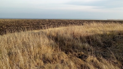 133 land deals measuring 2,515 acres closed across the country in 2024, of which 30 land deals of 607 acres were closed in the Mumbai Metropolitan Region. (Picture for representational purposes only) (Pixabay) 133 land deals measuring 2,515 acres closed across the country in 2024, of which 30 land deals of 607 acres were closed in the Mumbai Metropolitan Region. (Picture for representational purposes only) (Pixabay)