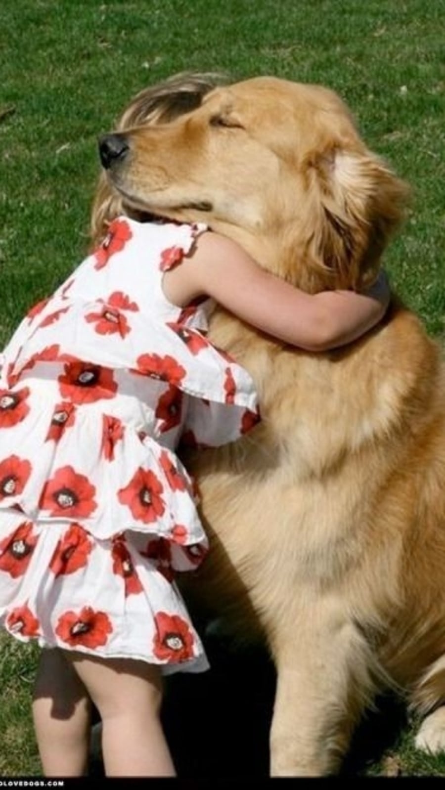 dogchildlove783