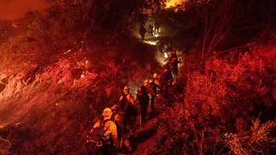 Firefighters walk up a ridge to battle the Lilac Fire in Bonsall, California on January 21. Firefighters also made progress on the Pala Fire and it was reported as stopped. (AP) Firefighters walk up a ridge to battle the Lilac Fire in Bonsall, California on January 21. Firefighters also made progress on the Pala Fire and it was reported as stopped. (AP)