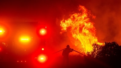 A firefighter sprays water while battling the Lilac Fire near the Bonsall community of San Diego County in California on January 21. Evacuation orders were issued for the Lilac Fire, which had burned about 50 acres (20 hectares). (AP) A firefighter sprays water while battling the Lilac Fire near the Bonsall community of San Diego County in California on January 21. Evacuation orders were issued for the Lilac Fire, which had burned about 50 acres (20 hectares). (AP)