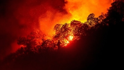 A firefighter battles the Lilac Fire near the Bonsall community of San Diego County, Calif., on Tuesday, Jan. 21, 2025. (AP) A firefighter battles the Lilac Fire near the Bonsall community of San Diego County, Calif., on Tuesday, Jan. 21, 2025. (AP)
