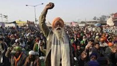 For January 29 rally, hundreds of tractor-trailers will leave for the Shambhu border to join the stir. (HT File)