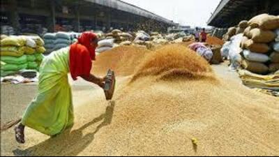 The state government is expecting to procure 120 lakh tonnes of wheat starting from April 1, (HT File) The state government is expecting to procure 120 lakh tonnes of wheat starting from April 1, (HT File)