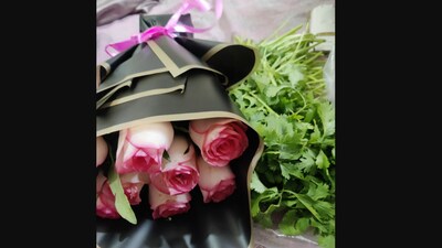 The woman shared a photo of the pink roses with the coriander leaves she received from Swiggy. (X/@tandoorinightts) The woman shared a photo of the pink roses with the coriander leaves she received from Swiggy. (X/@tandoorinightts)