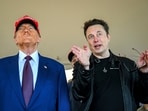 President Donald Trump and Elon Musk