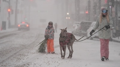 Kristyn Tramel walks her dog Bluey with her 8-year-old son Penn in the French Quarter, in New Orleans, Tuesday, Jan. 21, 2025. (AP Photo/Gerald Herbert) (AP) Kristyn Tramel walks her dog Bluey with her 8-year-old son Penn in the French Quarter, in New Orleans, Tuesday, Jan. 21, 2025. (AP Photo/Gerald Herbert) (AP)