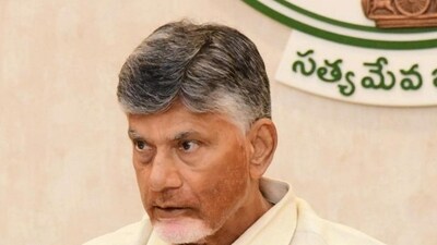 Andhra Pradesh Chief Minister N. Chandrababu Naidu (PTI) Andhra Pradesh Chief Minister N. Chandrababu Naidu (PTI)