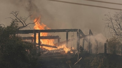 Smoke and flames rise from the Palisades Fire, one of simultaneous blazes that have ripped across Los Angeles County, along Mandeville Canyon, in the Encino neighborhood of Los Angeles, California, U.S., January 11, 2025. REUTERS/Daniel Dreifuss/ (REUTERS)