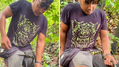 The image shows a snake biting a man’s private parts. (Instagram/@jejaksiaden) The image shows a snake biting a man’s private parts. (Instagram/@jejaksiaden)