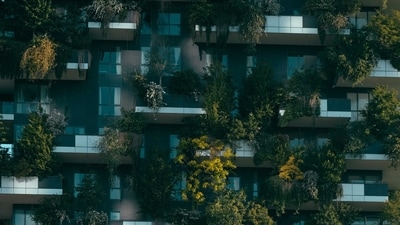 Urban development (Francesco Ungaro) Urban development (Francesco Ungaro)