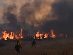 A firefighting crew walks towards flames as a plume of smoke from the Hughes Fire fills the sky in Castaic, a northwestern part of Los Angeles, California, on January 22, 2025. Evacuations were ordered for 19,000 people all around the lake, which sits around 35 miles north of Los Angeles, and close to the city of Santa Clarita. (Photo by Robyn Beck / AFP)