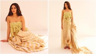 Ananya Panday redefines ethnic fashion with unique organza saree and flower blouse. (Instagram/@ananyapanday) Ananya Panday redefines ethnic fashion with unique organza saree and flower blouse. (Instagram/@ananyapanday)