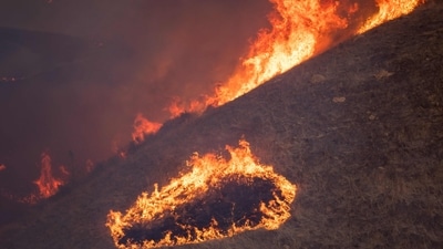 A fast-moving wildfire near Los Angeles has forced more than 50,000 people to evacuate from Southern California. After starting in the late morning, the Hughes Fire burned over 39 square kilometres of trees and brush in a few of hours, releasing heavy smoke plumes close to Lake Castaic. (AFP/Apu GOMES) A fast-moving wildfire near Los Angeles has forced more than 50,000 people to evacuate from Southern California. After starting in the late morning, the Hughes Fire burned over 39 square kilometres of trees and brush in a few of hours, releasing heavy smoke plumes close to Lake Castaic. (AFP/Apu GOMES)