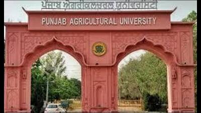 Punjab Agricultural University (HT File) Punjab Agricultural University (HT File)