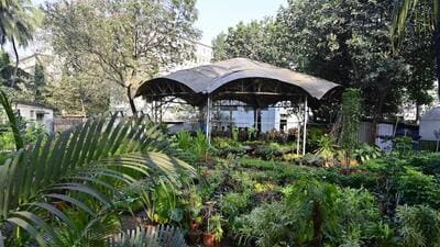The building will come up in an area that currently houses a small garden. (Anshuman Poyrekar/ Hindustan Times)