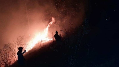 Some areas in Arunachal Pradesh are susceptible to forest fires. (File Photo) (X/@easterncomd) Some areas in Arunachal Pradesh are susceptible to forest fires. (File Photo) (X/@easterncomd)