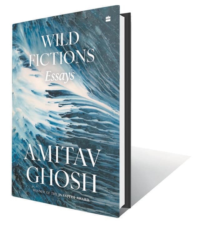 496pp, ₹799; HarperCollins (A fascinating exploration of the fictions we weave to absorb history) 496pp, ₹799; HarperCollins (A fascinating exploration of the fictions we weave to absorb history)